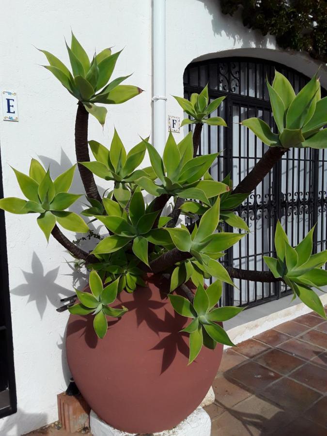 Sitio de Calahonda Dona Lola , Luminoso Apartamento Calahonda, Mijas מראה חיצוני תמונה
